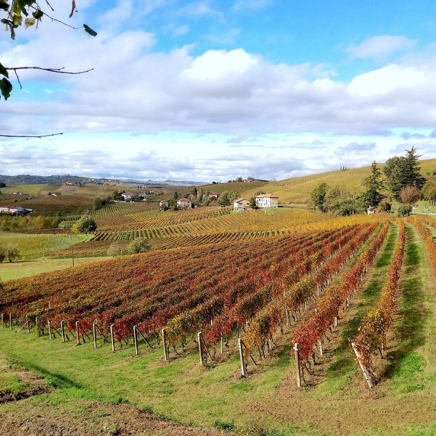 Cascina Tra I Vigneti A Nizza Monferrato Vila Exterior foto