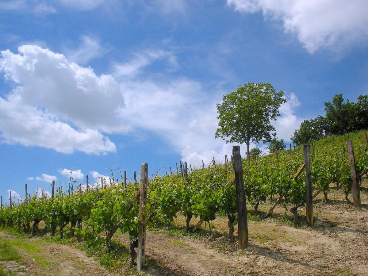 Cascina Tra I Vigneti A Nizza Monferrato Vila Exterior foto