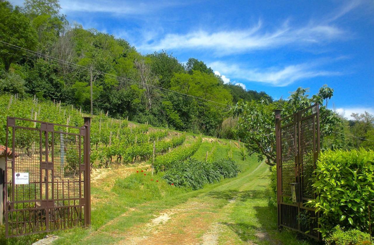 Cascina Tra I Vigneti A Nizza Monferrato Vila Exterior foto