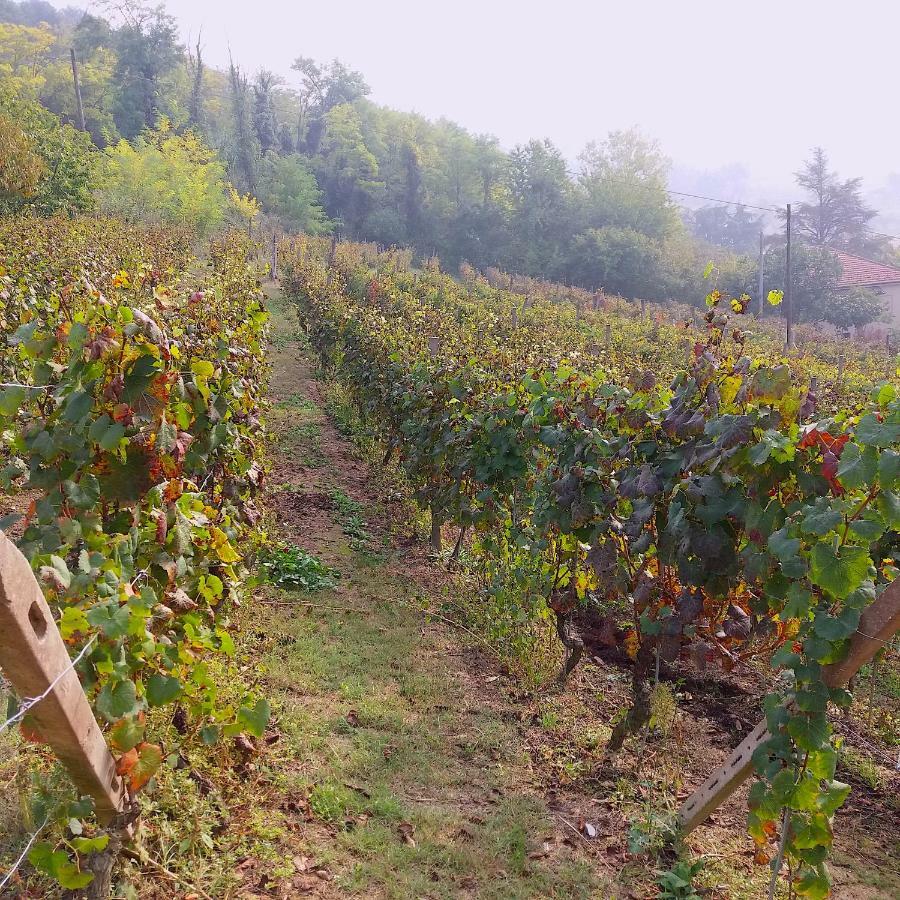 Cascina Tra I Vigneti A Nizza Monferrato Vila Exterior foto