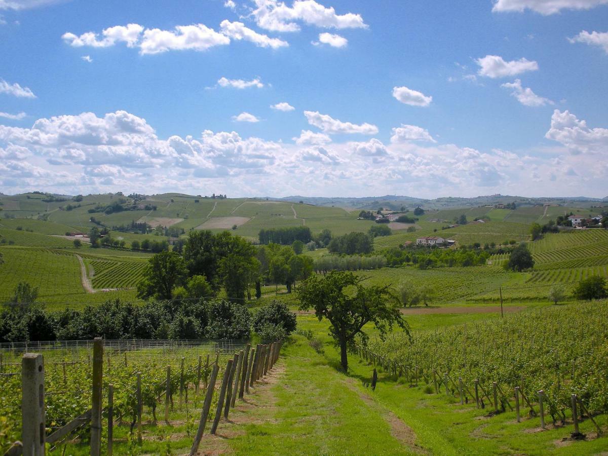 Cascina Tra I Vigneti A Nizza Monferrato Vila Exterior foto